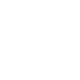 QSST Logo
